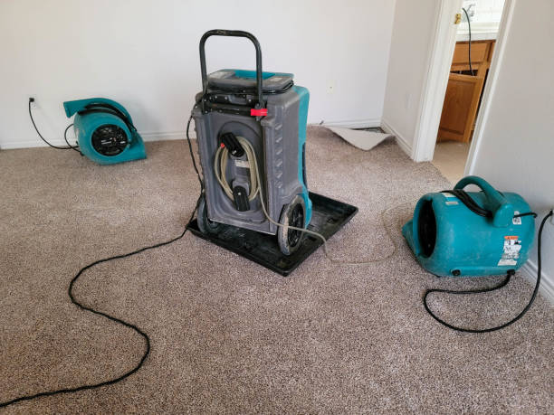 Best Water damage restoration services  in Southern Gateway, VA