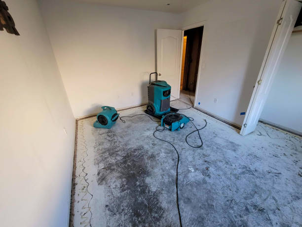 Best 24-hour water damage restoration  in Southern Gateway, VA