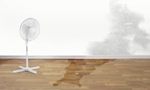 Best Water damage cleanup near me  in Southern Gateway, VA