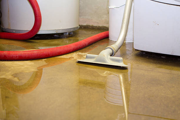 Best Professional water damage repair  in Southern Gateway, VA