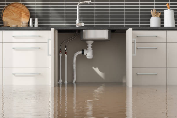 Best Carpet water damage restoration  in Southern Gateway, VA