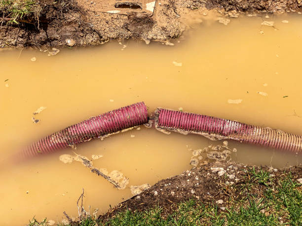 Best Professional water damage repair  in Southern Gateway, VA