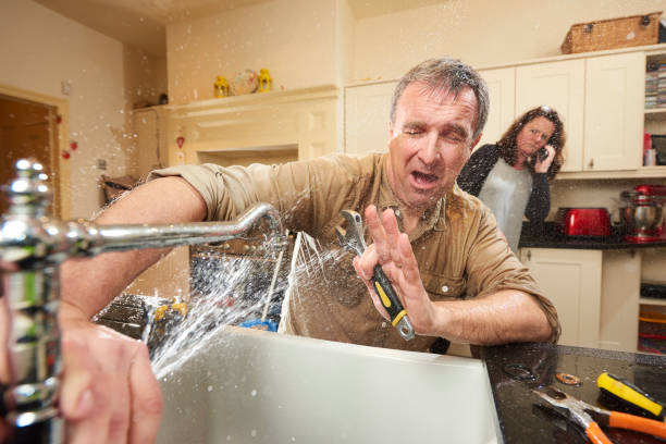 Best Flood damage cleanup  in Southern Gateway, VA